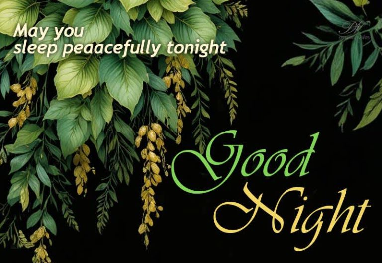 Good Night Wishes