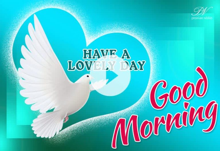 Good Morning Peaceful Birds Singing to Start Your Day