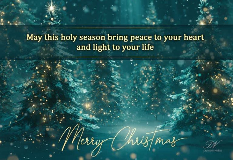 Merry Christmas 🎄 May Peace and Light Fill Your Heart Merry Christmas 🎄 May Peace and Light Fill Your Heart