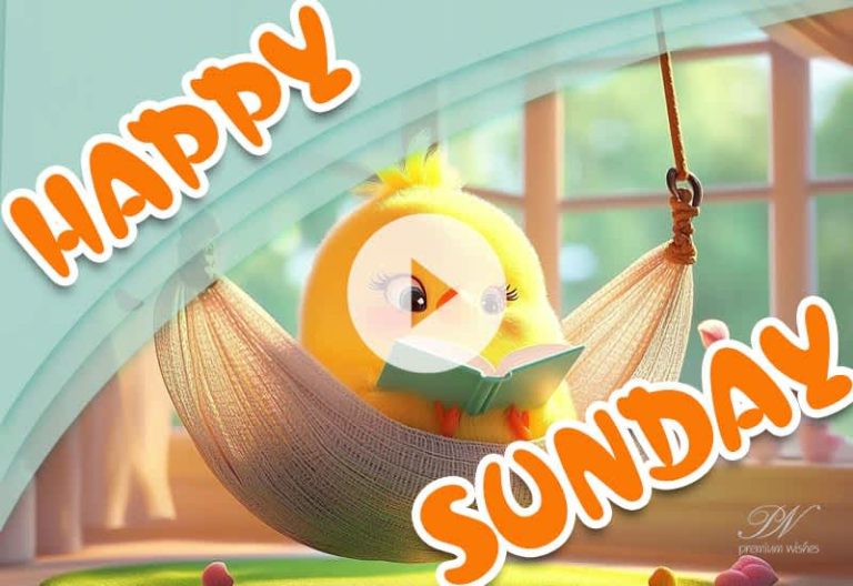 Happy Sunday π Relaxing Cute Video to Enjoy Your Day | Peaceful & Joyful Sunday Wishes Happy Sunday π Relaxing Cute Video to Enjoy Your Day | Peaceful & Joyful Sunday Wishes