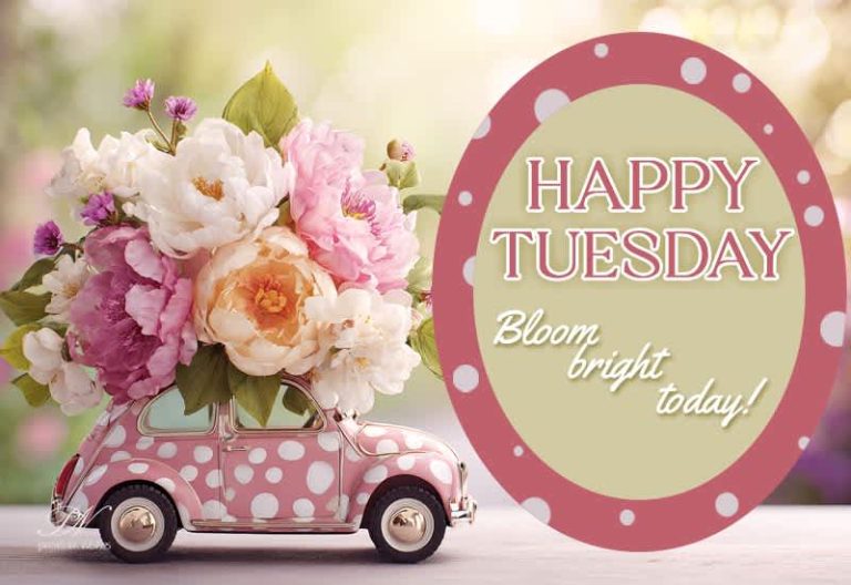 Happy Tuesday – Bloom Bright and Start Your Day with Joy