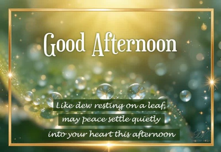 Good Afternoon Wishes