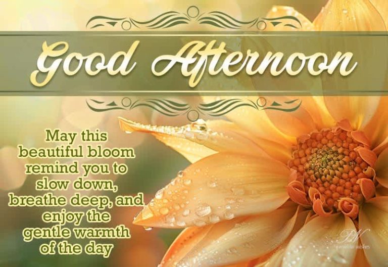 Good Afternoon Wishes