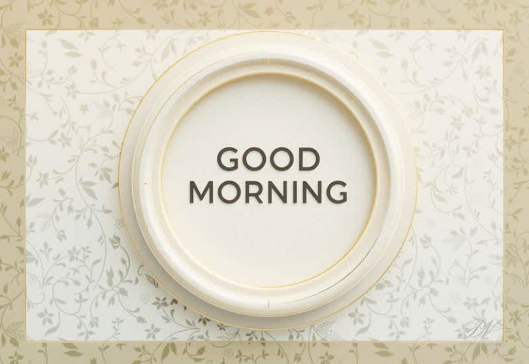 A Calm and Beautiful Good Morning 🤍