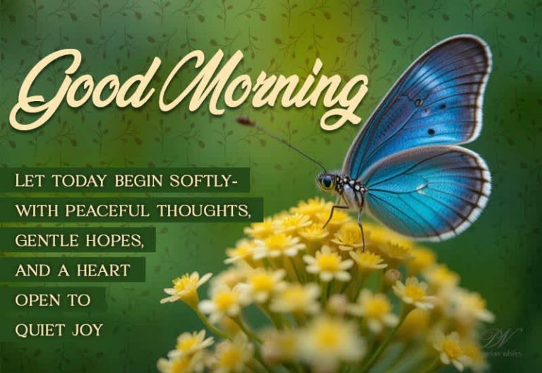 Good Morning Wishes with Butterfly – A Soft and Peaceful Start to the Day Good Morning Wishes with Butterfly – A Soft and Peaceful Start to the Day