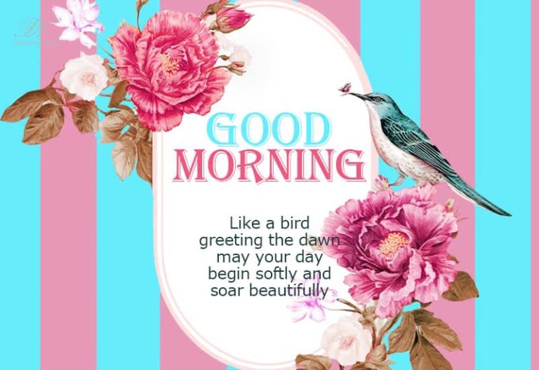 Good Morning Wishes – Begin Softly and Soar Beautifully Good Morning Wishes – Begin Softly and Soar Beautifully