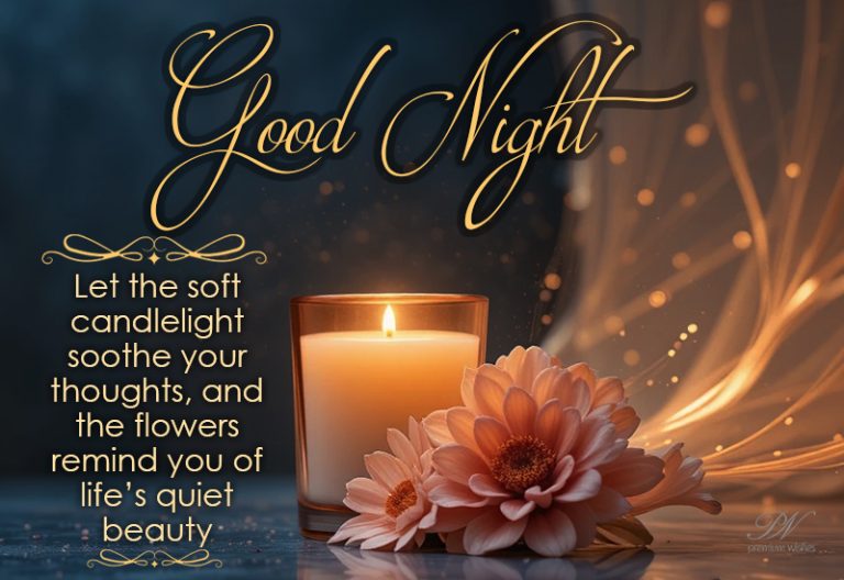 Good Night Wishes