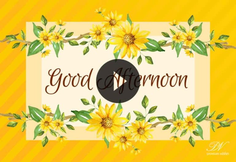 Good Afternoon Greetings Video to Brighten Your Day 🌞