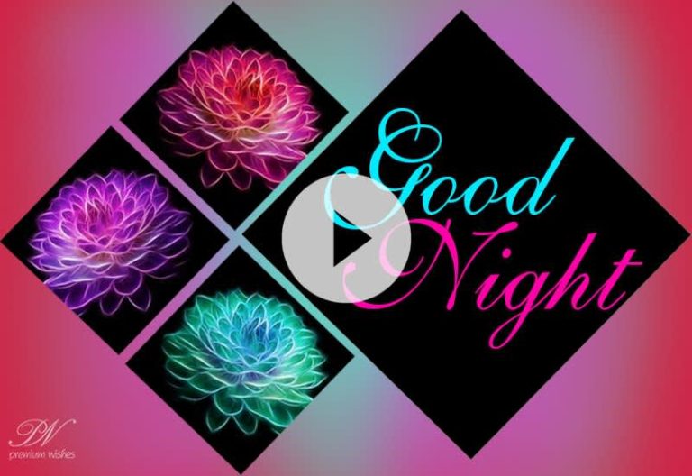 🌙 Good Night Wishes Video – Sweet Dreams & Peaceful Sleep 🌙 Good Night Wishes Video – Sweet Dreams & Peaceful Sleep