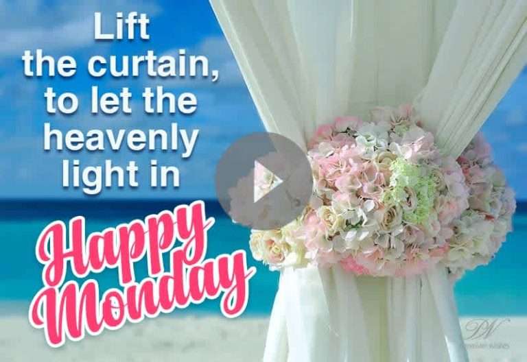 Lift the Curtain and Welcome a Happy Monday πΈ Lift the Curtain and Welcome a Happy Monday πΈ