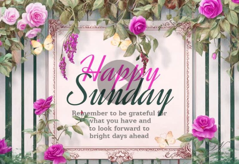 Happy Sunday Wishes ๐ธ Beautiful Sunday Greetings to Share Positivity Happy Sunday Wishes ๐ธ Beautiful Sunday Greetings to Share Positivity