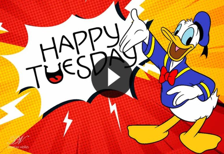 Happy Tuesday Wishes Video 🌸 | Cute & Positive Tuesday Greetings Happy Tuesday Wishes Video 🌸 | Cute & Positive Tuesday Greetings