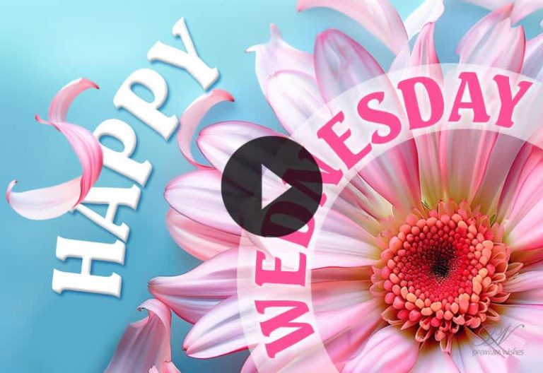 🌸 Happy Wednesday 🌸 Beautiful Floral Wishes to Brighten Your Day