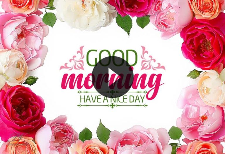 Good Morning Wishes 🌸 Start Your Day with Positivity and Gratitude