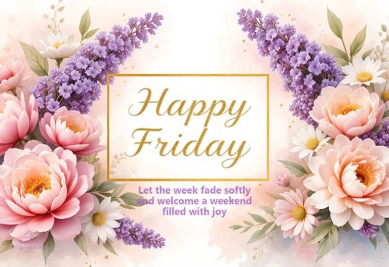 Let the Week Fade Softly β Hello Friday π· Let the Week Fade Softly β Hello Friday π·