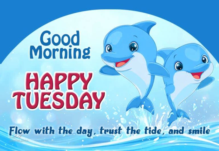 Good Morning Happy Tuesday Wishes with Smiling Dolphins Good Morning Happy Tuesday Wishes with Smiling Dolphins