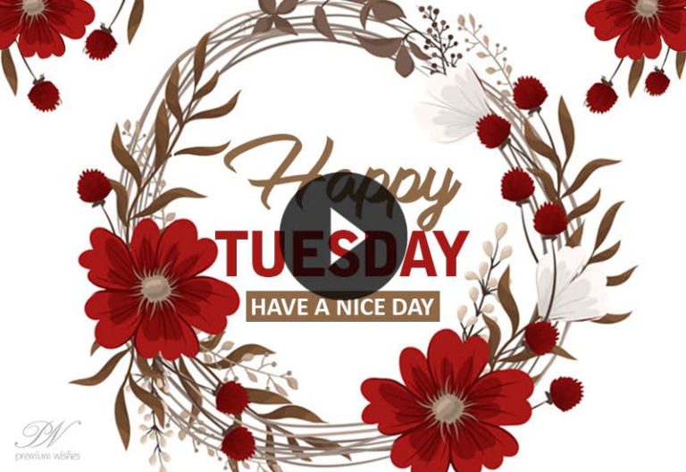 Happy Tuesday 🌸 May Your Day Be Blessed | Positive Morning Wishes