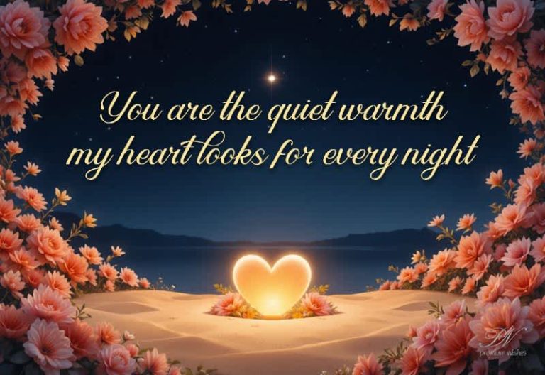 You Are the Quiet Warmth My Heart Looks for Every Night
