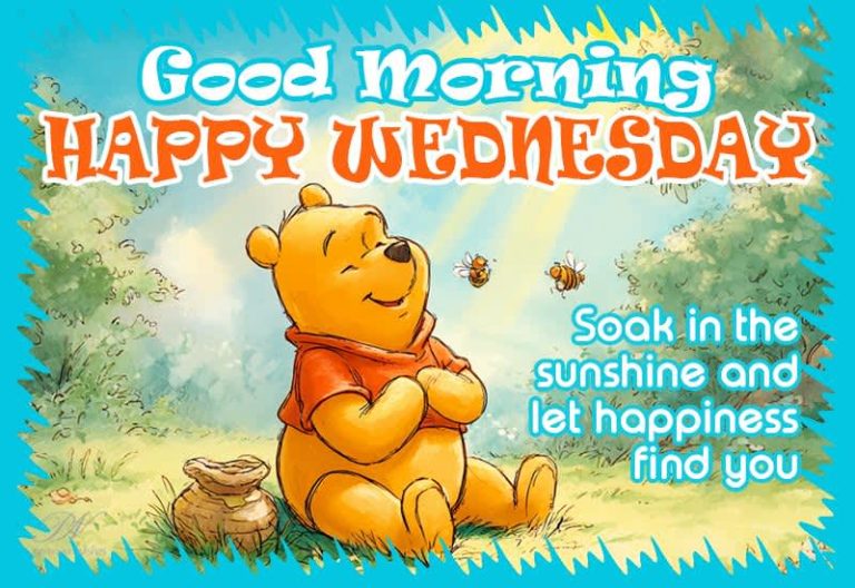 Soak in the Sunshine This Happy Wednesday ☀️