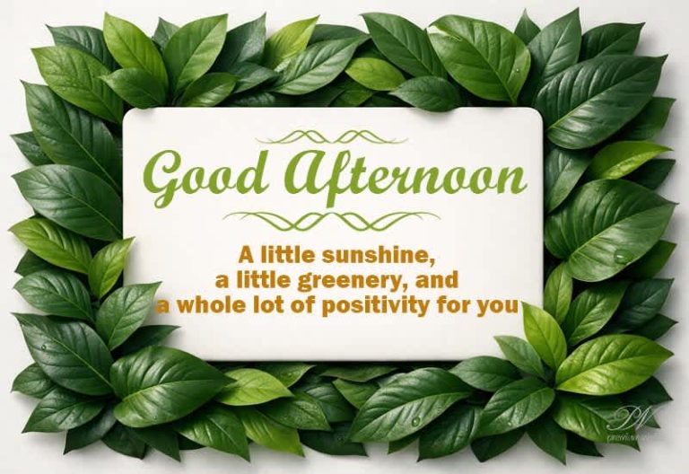 Good Afternoon Wishes