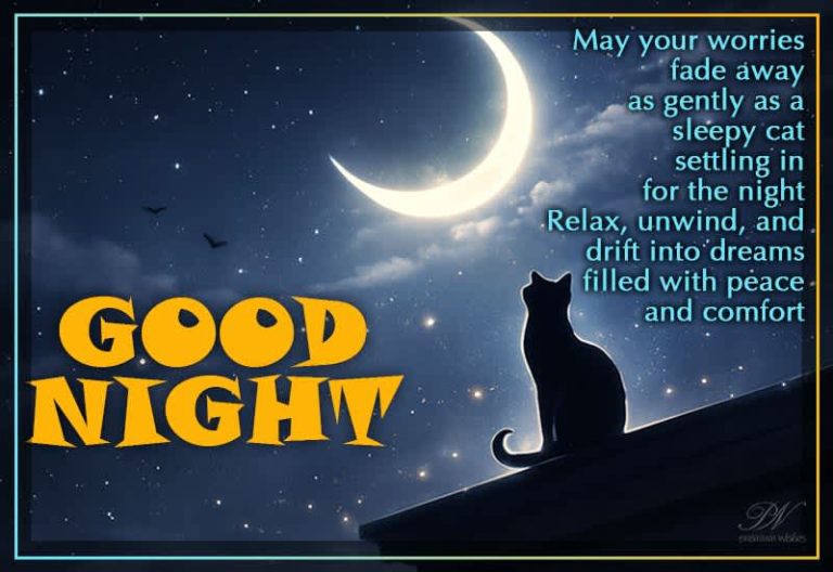 Good Night Wishes