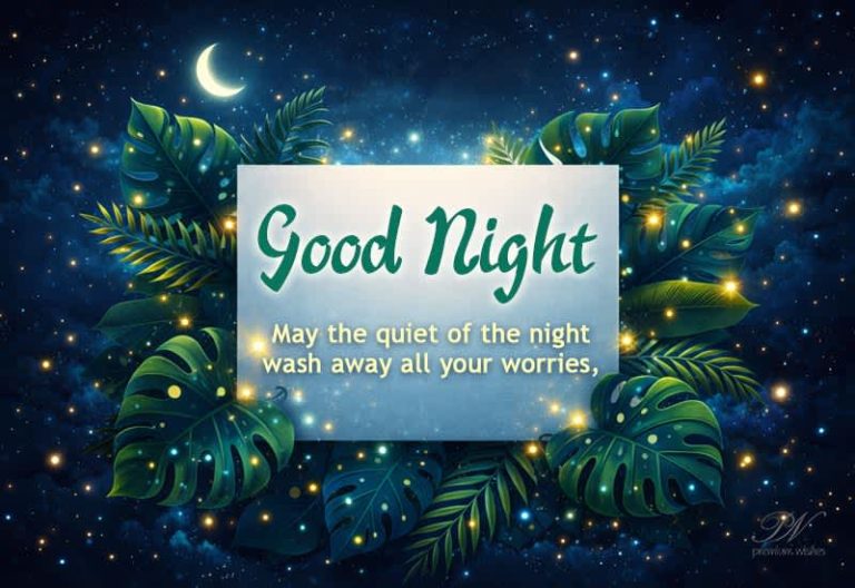 Good Night Wishes
