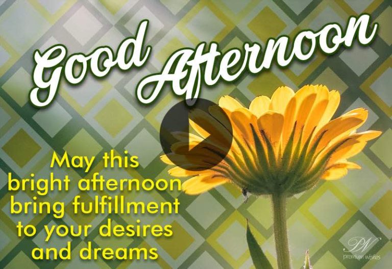 Good Afternoon Wishes with Beautiful Orange Flowers – Brighten Someone’s Day