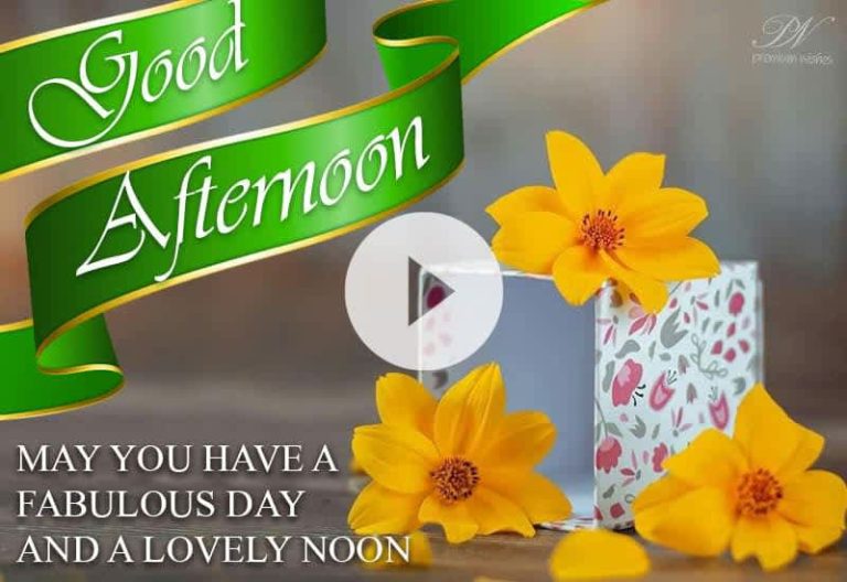 Good Afternoon Wishes Video – Beautiful Floral Greetings to Brighten Your Day