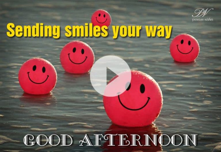 Beautiful Good Afternoon Wishes & Greetings Video to Share Smiles Beautiful Good Afternoon Wishes & Greetings Video to Share Smiles