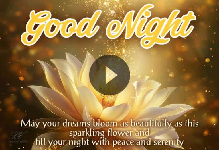 Beautiful Good Night Wishes 🌙 Sweet Dreams & Peace
