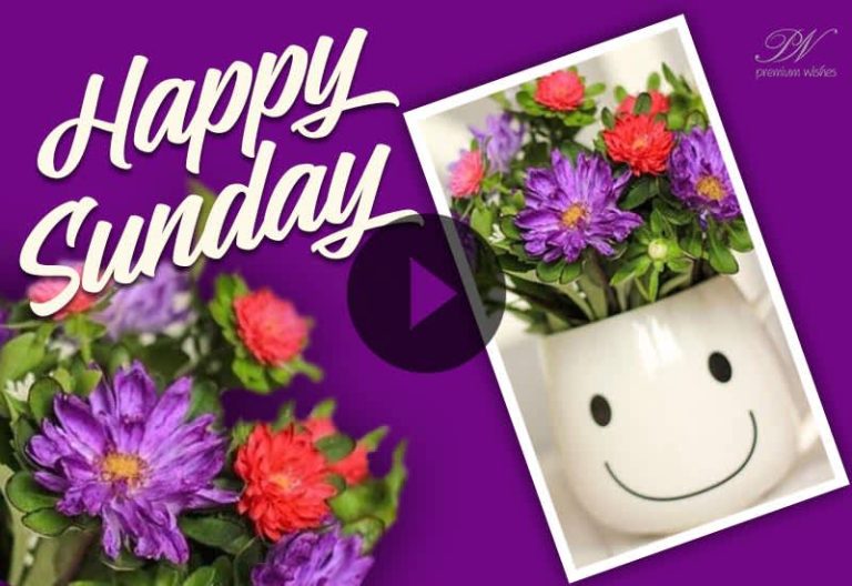 Happy Sunday Wishes & Beautiful Sunday Greetings Video to Share with Loved Ones