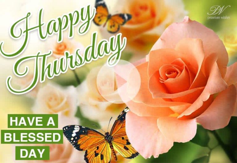 Happy Thursday Greetings Video 🌸 Thursday Blessings & Wishes
