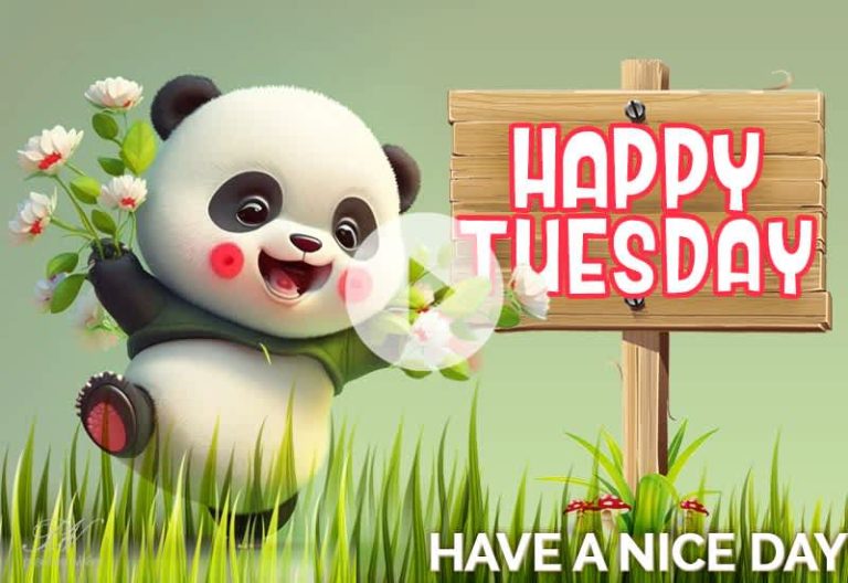 Happy Tuesday Wishes Video – Cute & Positive Tuesday Greetings