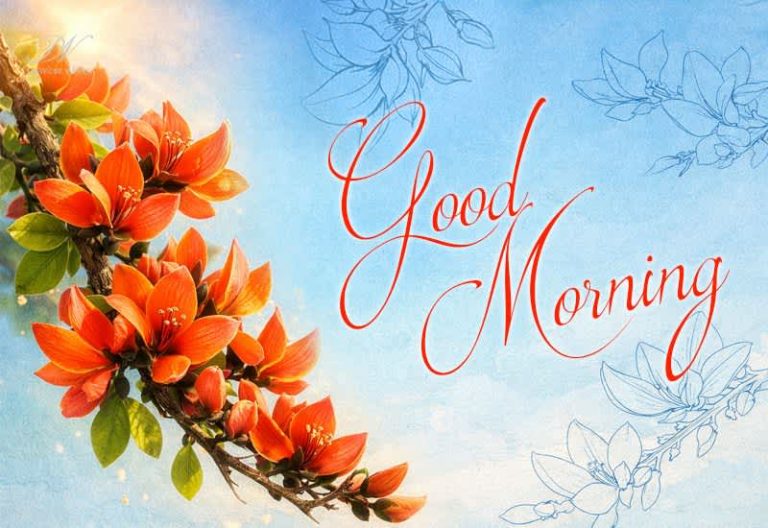Good Morning Wishes – A Fresh Start with Positivity and Grace Good Morning Wishes – A Fresh Start with Positivity and Grace
