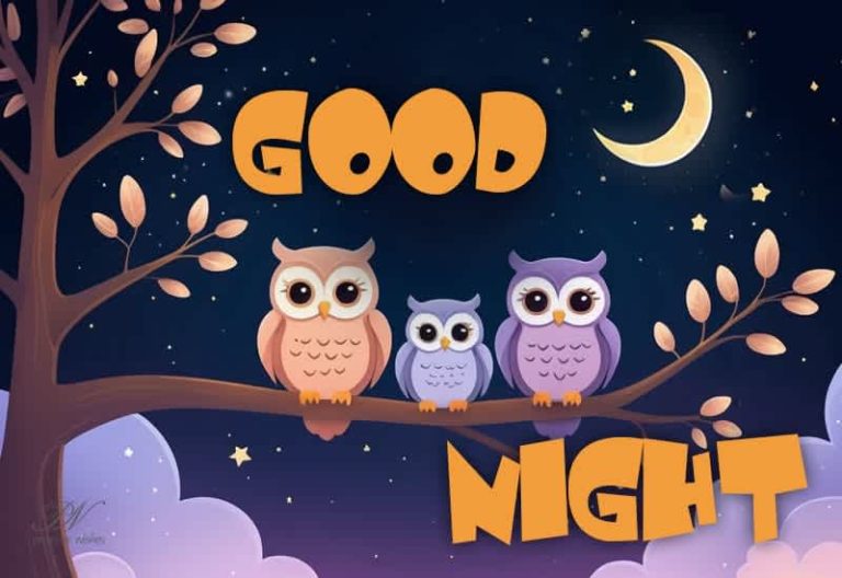 Good Night Wishes