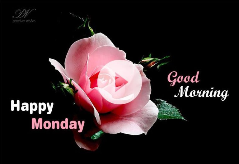 Happy Monday Good Morning Wishes with Beautiful Pink Flowers