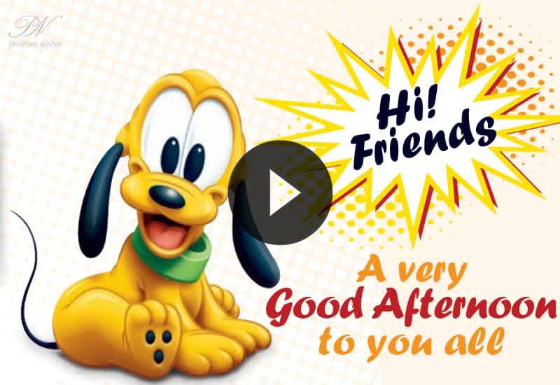 Cute Good Afternoon Greetings Video for Friends and Family