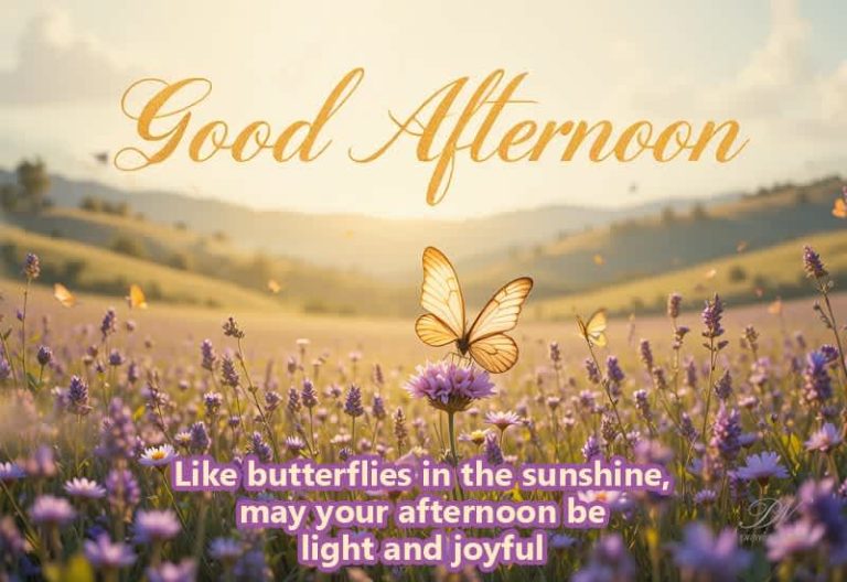 Good Afternoon Wishes