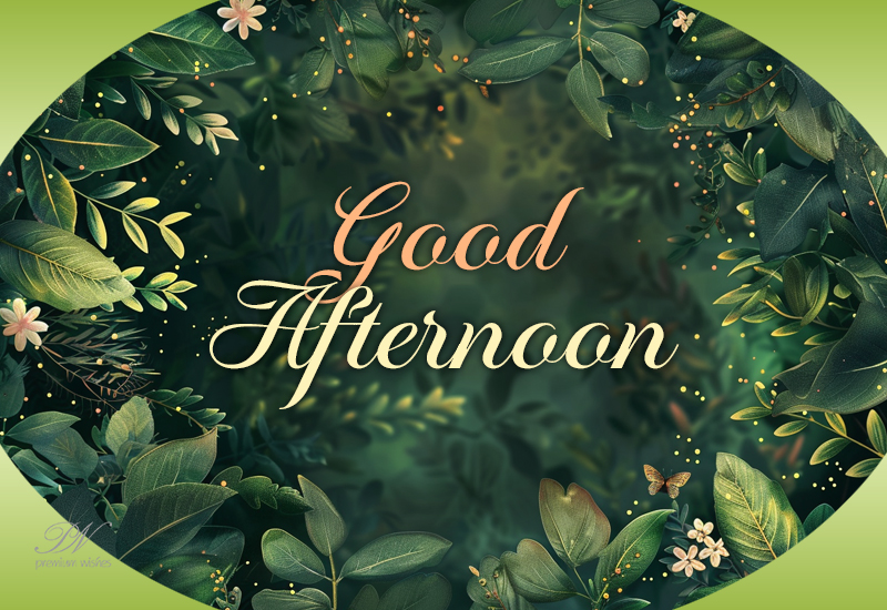Good Afternoon Greeting with Elegant Green Foliage and Calm Beauty Good Afternoon Greeting with Elegant Green Foliage and Calm Beauty