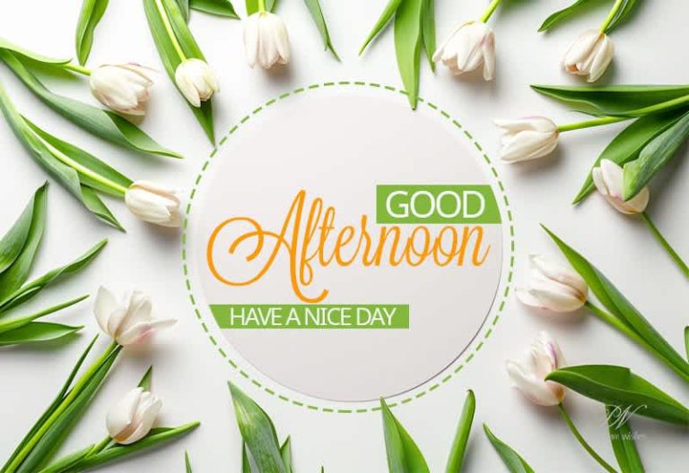 Good Afternoon Wishes