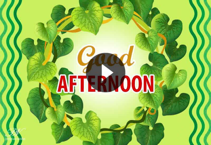 Good Afternoon Wishes – Beautiful Green Greetings Video for a Lovely Day