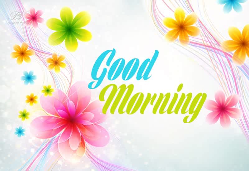 Good Morning – Colorful Floral Greeting