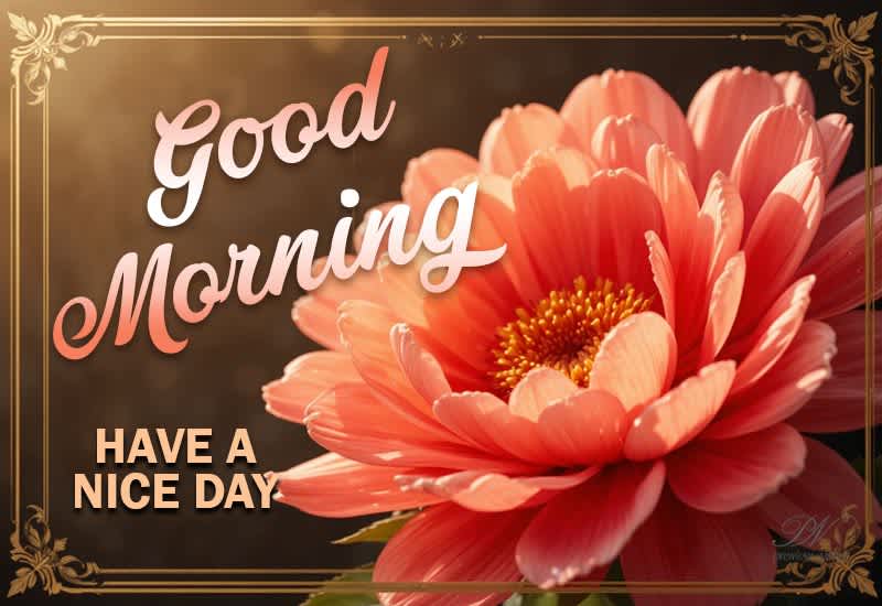 Good Morning Floral Greeting with a Warm Have a Nice Day Message