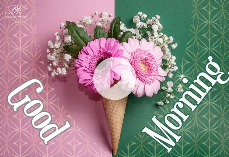 Good Morning Wishes with Beautiful Pink Flowers | Have a Nice Day