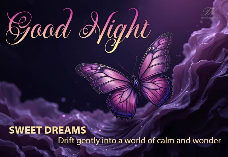 Good Night Sweet Dreams – Drift Into Calm and Wonder Good Night Sweet Dreams – Drift Into Calm and Wonder