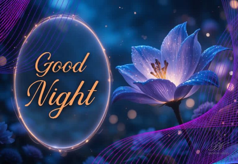 Good Night Wishes
