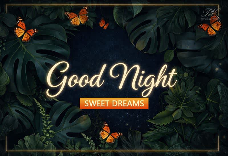 Good Night Image with Sweet Dreams in a Dreamy Butterfly Night