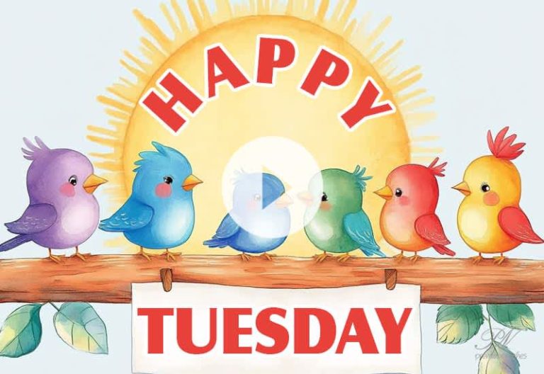 Happy Tuesday Wishes & Blessings | Beautiful Tuesday Greetings Video Happy Tuesday Wishes & Blessings | Beautiful Tuesday Greetings Video