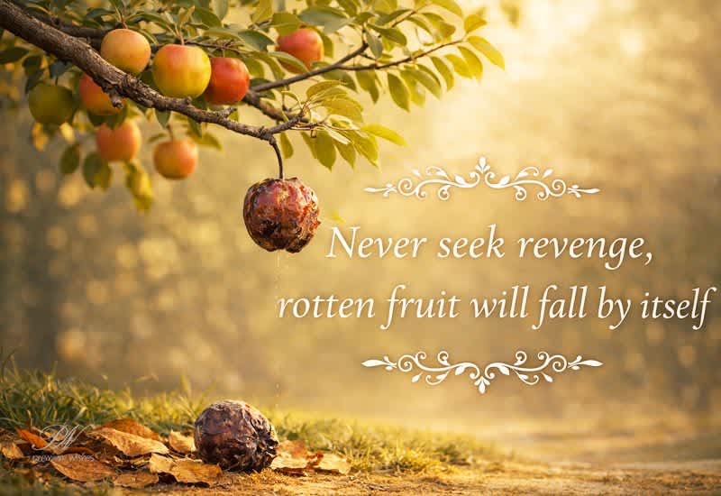 Never Seek Revenge Inspirational Life Quote
