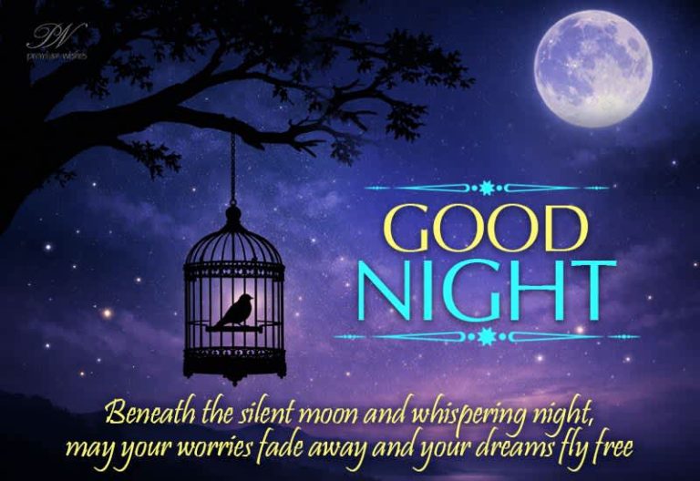 Good Night Wishes